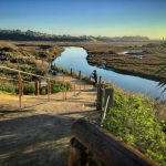 Coastal Encinitas