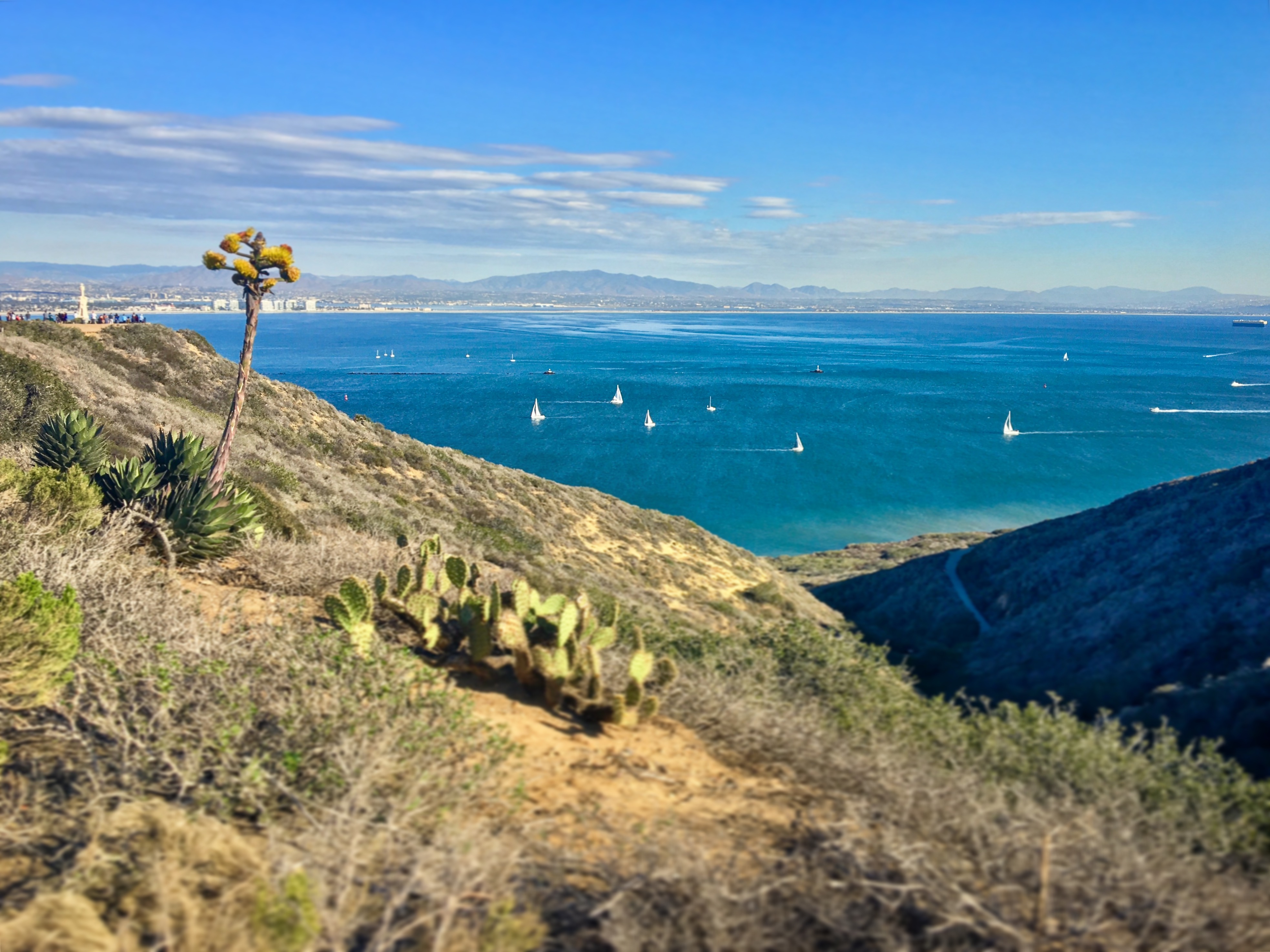 Coastal Point Loma is Rich in History and is Home to World-Renowned 