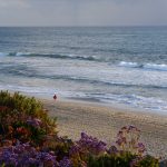 2689 State St | Carlsbad Penthouse (2)