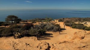 Torrey Pines Reserve | Things to do in San Diego, CA (2)